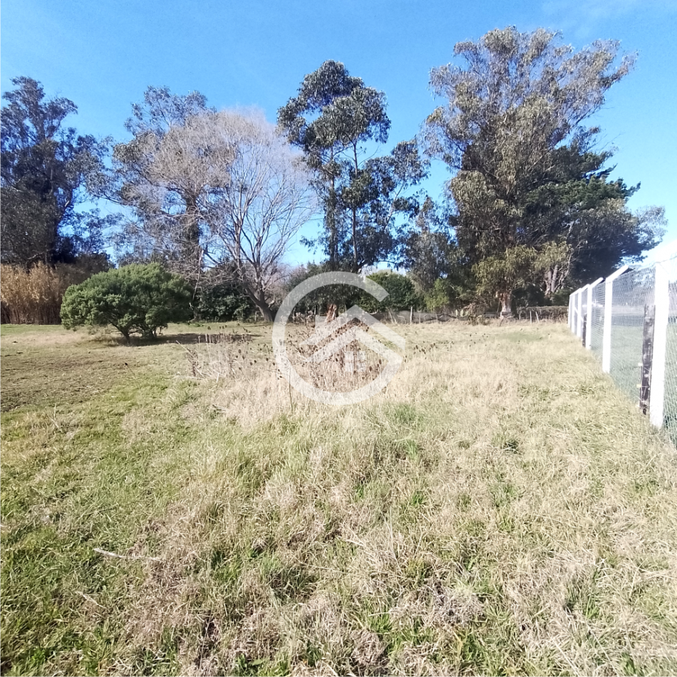 Gran lote con Casa de 3 ambientes