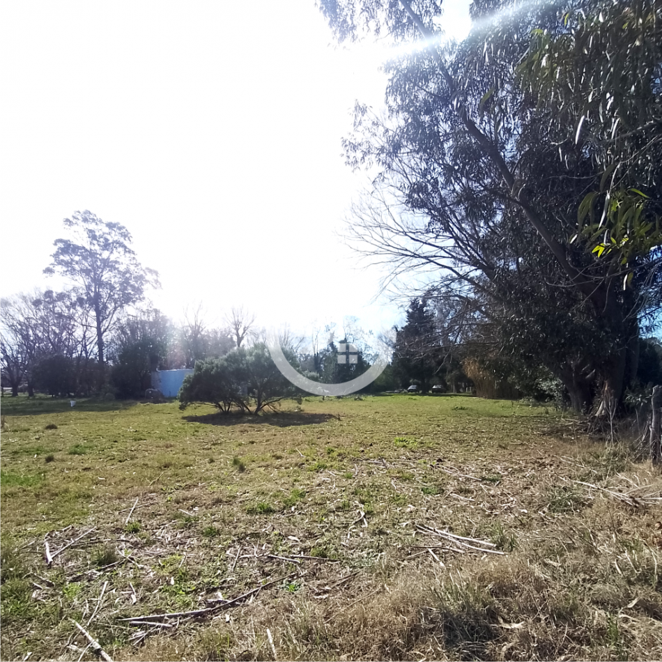 Gran lote con Casa de 3 ambientes