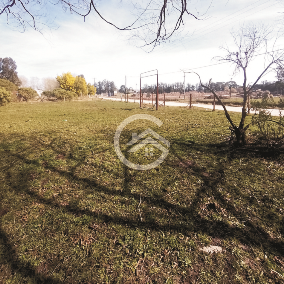 TERRENO DE GRANDES DIMENSIONES EN BARRIO LA TRINIDAD